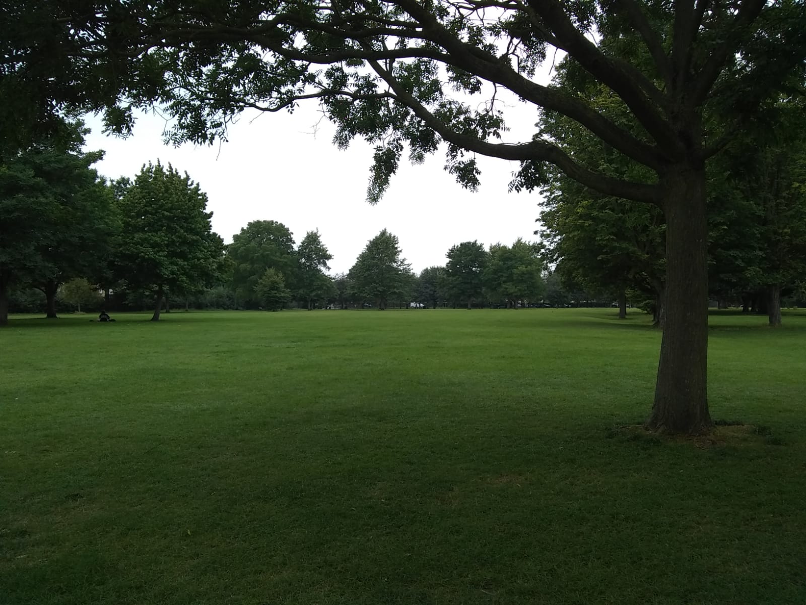 Lammas Land Capturing Cambridge