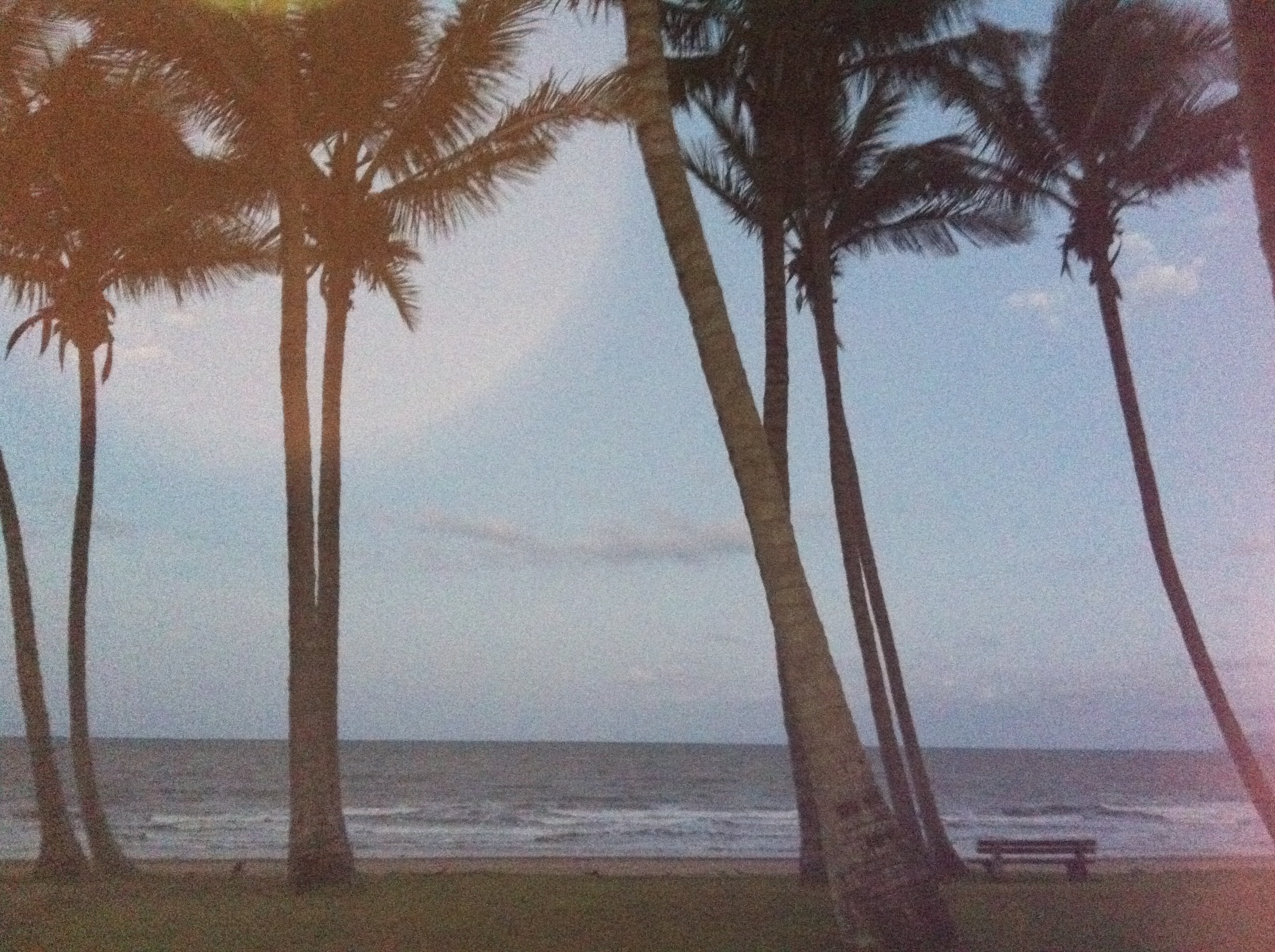 Saunders Beach. Capturing Dreams.