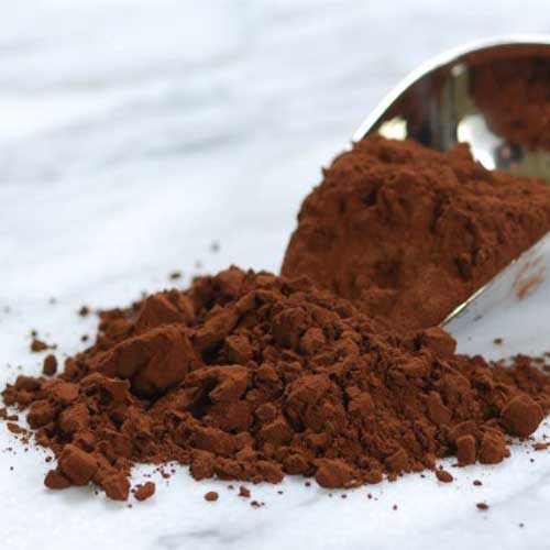 Valrhona Bulk Cocoa Powder 1LB Bag Caputo's Market & Deli
