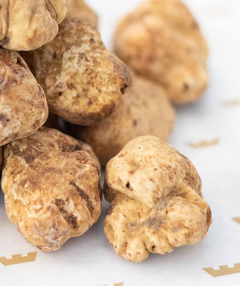 Fresh Bianchetti Italian Truffles (Seasonal) per 1 oz Caputo's