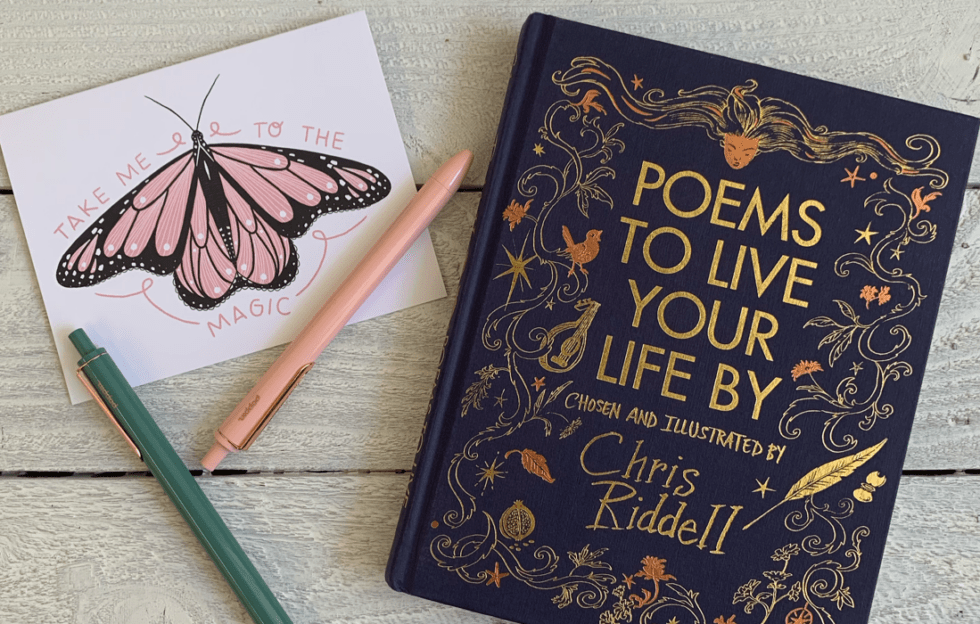 Poetry for Beginners How to Read and Fall in Love with Poetry Cara
