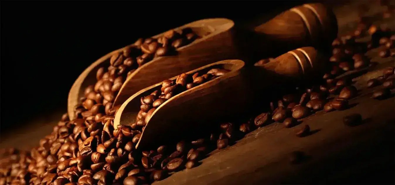 Caramel Colors Manufacturer, Caramel Food Colour Supplier India