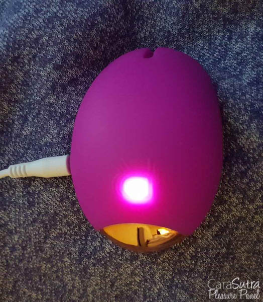 Ann Summers Rampant Rabbit Moregasm Rabbit Ears Vibrator