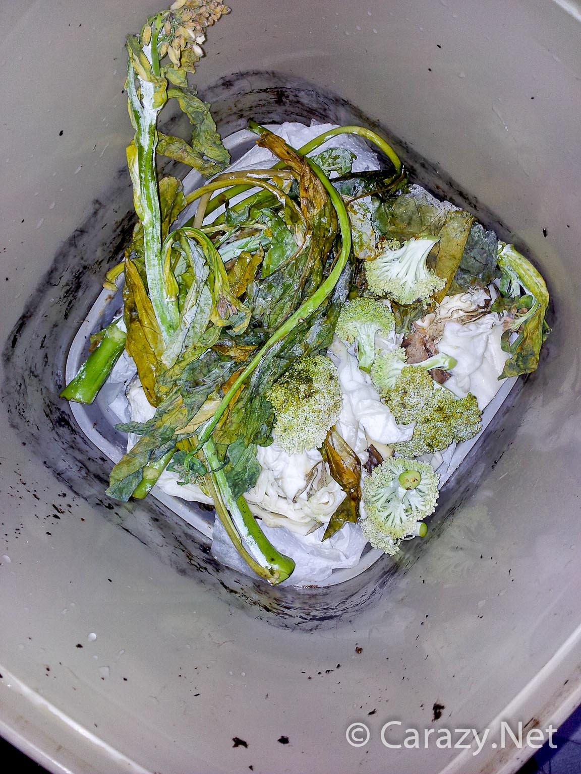 The Mini Bokashi Project (Dipping My Toes) Carazy Suburban