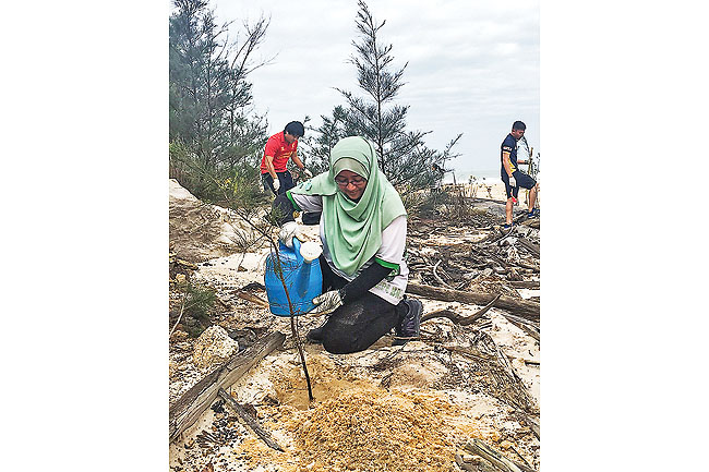 Adopt a Tree Brunei Carbon Calculator