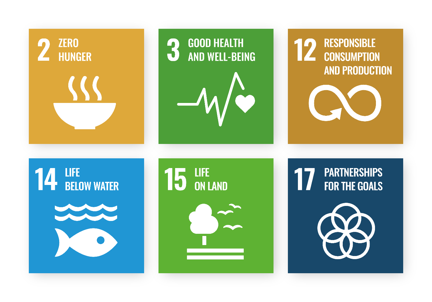 Sustainable nutrition Carbonbit Energy and Sustainability Services