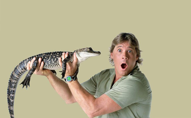 Steve Irwin Crocodile Hunter Costume DIY Guides for