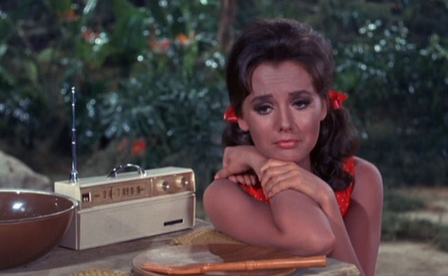 Mary Ann Summers Costume