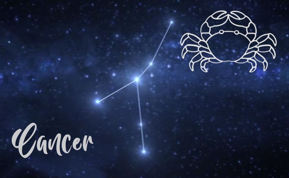 Cancer Costume Carbon Costume DIY DressUp Guides for Cosplay