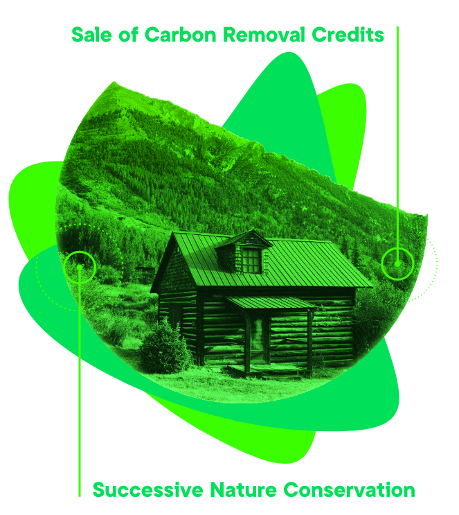 CarbonlandDAO A Club to Save Trees