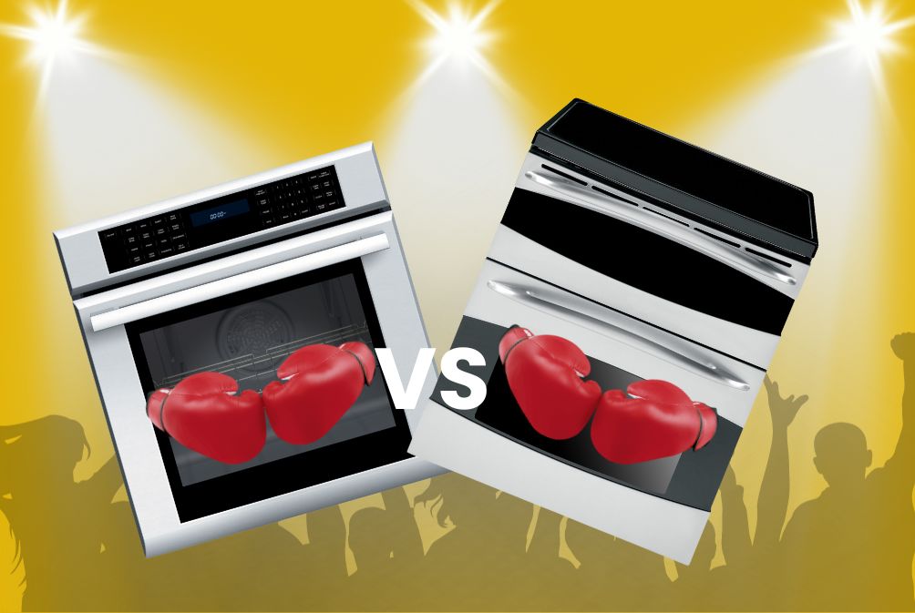 SelfCleaning vs Professional Oven Cleaning A Cleaner’s Insight