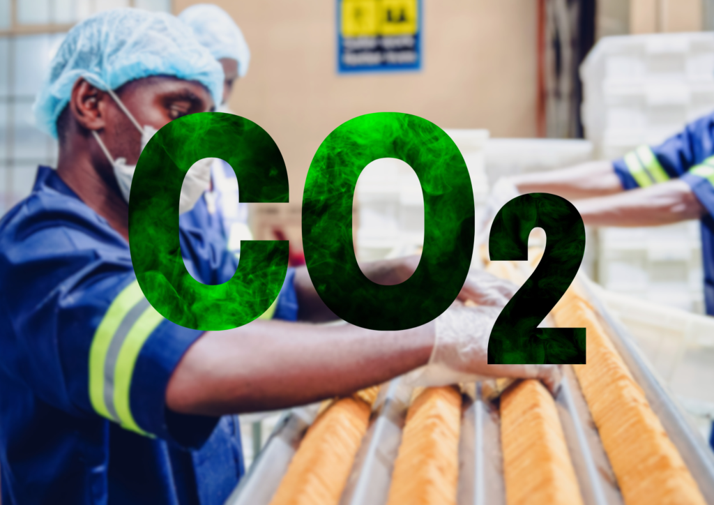 Carbon Reduction in the Processed Food Manufacturing Industry