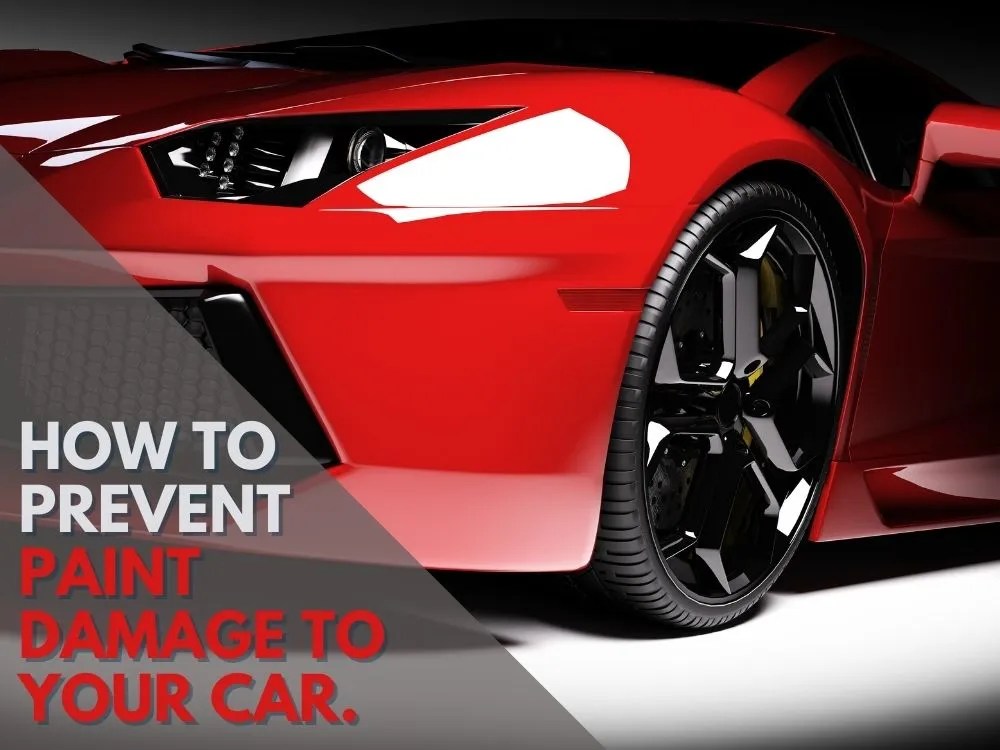 Ultimate Guide to Paint Protection Car Care Coaches Inc.