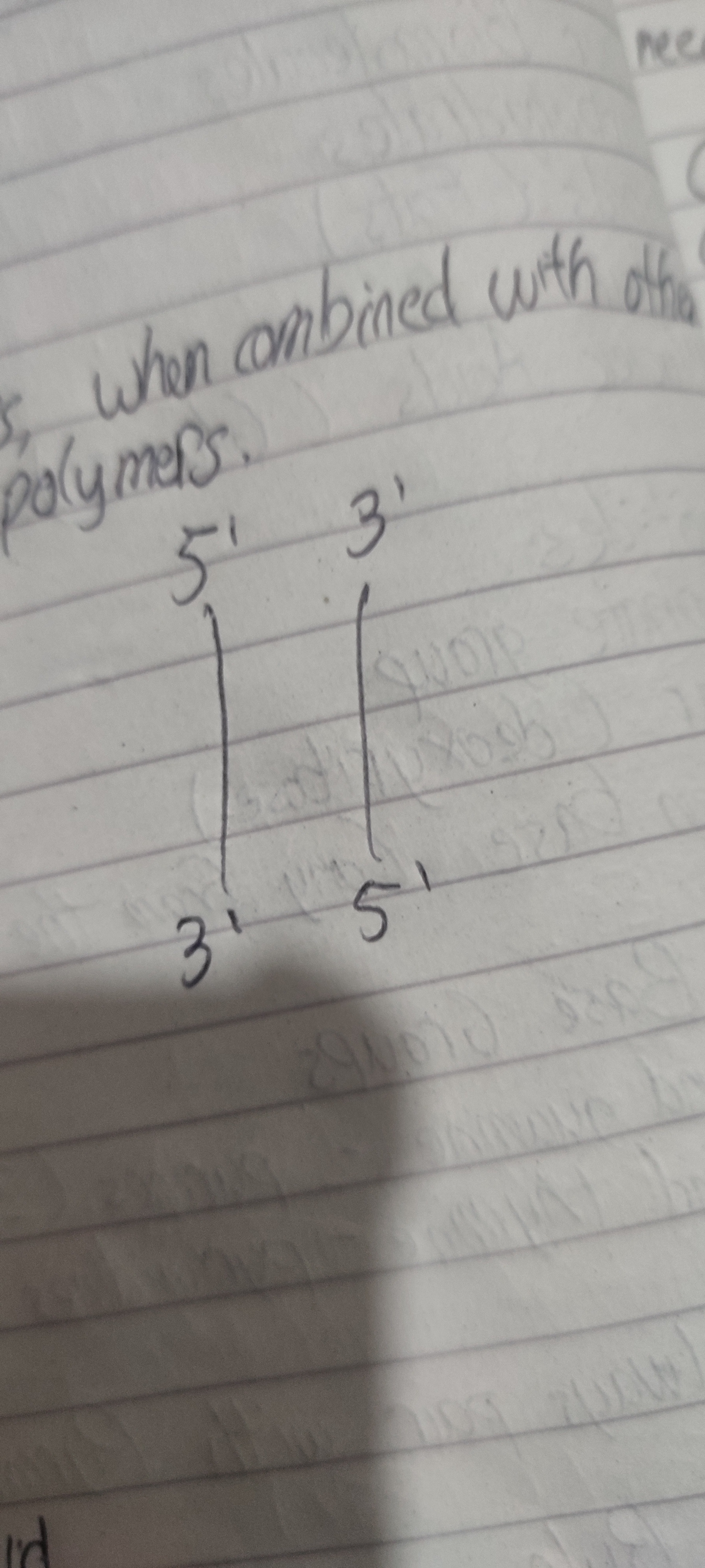Dna and Rna G8 Q3 Flashcards