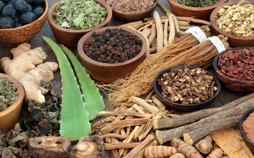 What are Adaptogens? Cardea Health Integrative