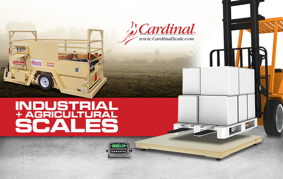 Cardinal/Detecto Scale HighQuality Scales and Weighing Equipment