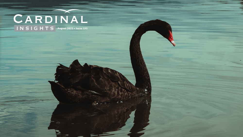 CLT Black Swans Cardinal Real Estate Partners Charlotte, NC