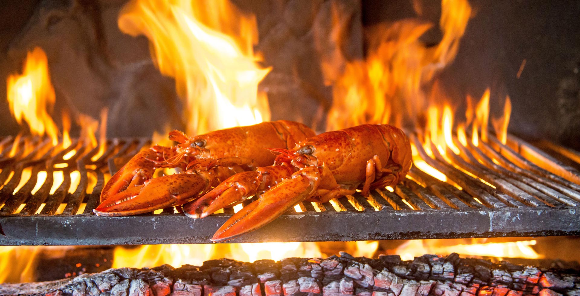 Restaurant gastronomique et de fruits de mer à Royan