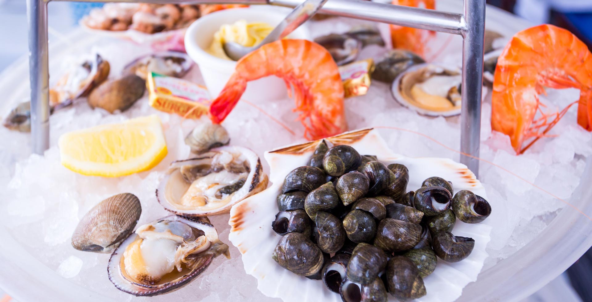 Restaurant gastronomique et de fruits de mer à Royan