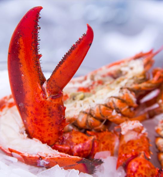 Restaurant gastronomique et de fruits de mer à Royan