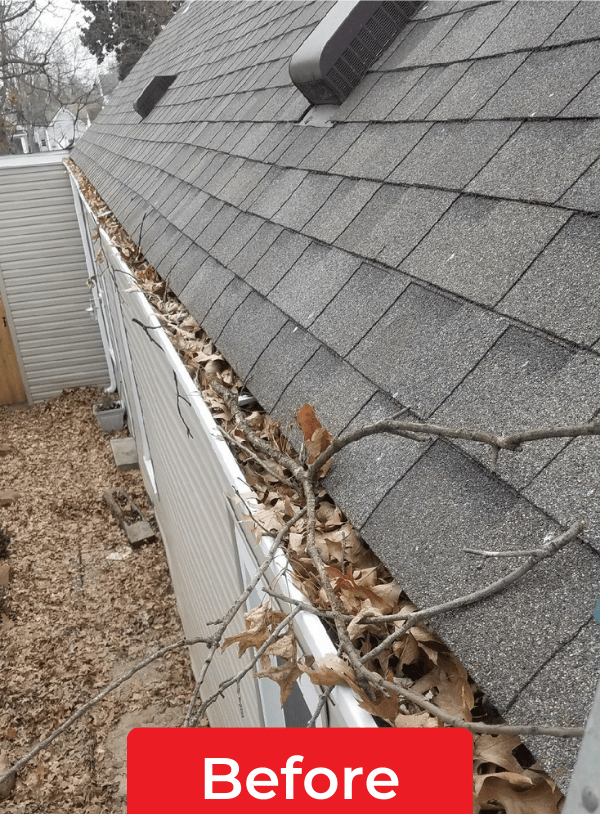 Gutter and Downspout Cleaning Cardinal Gutters