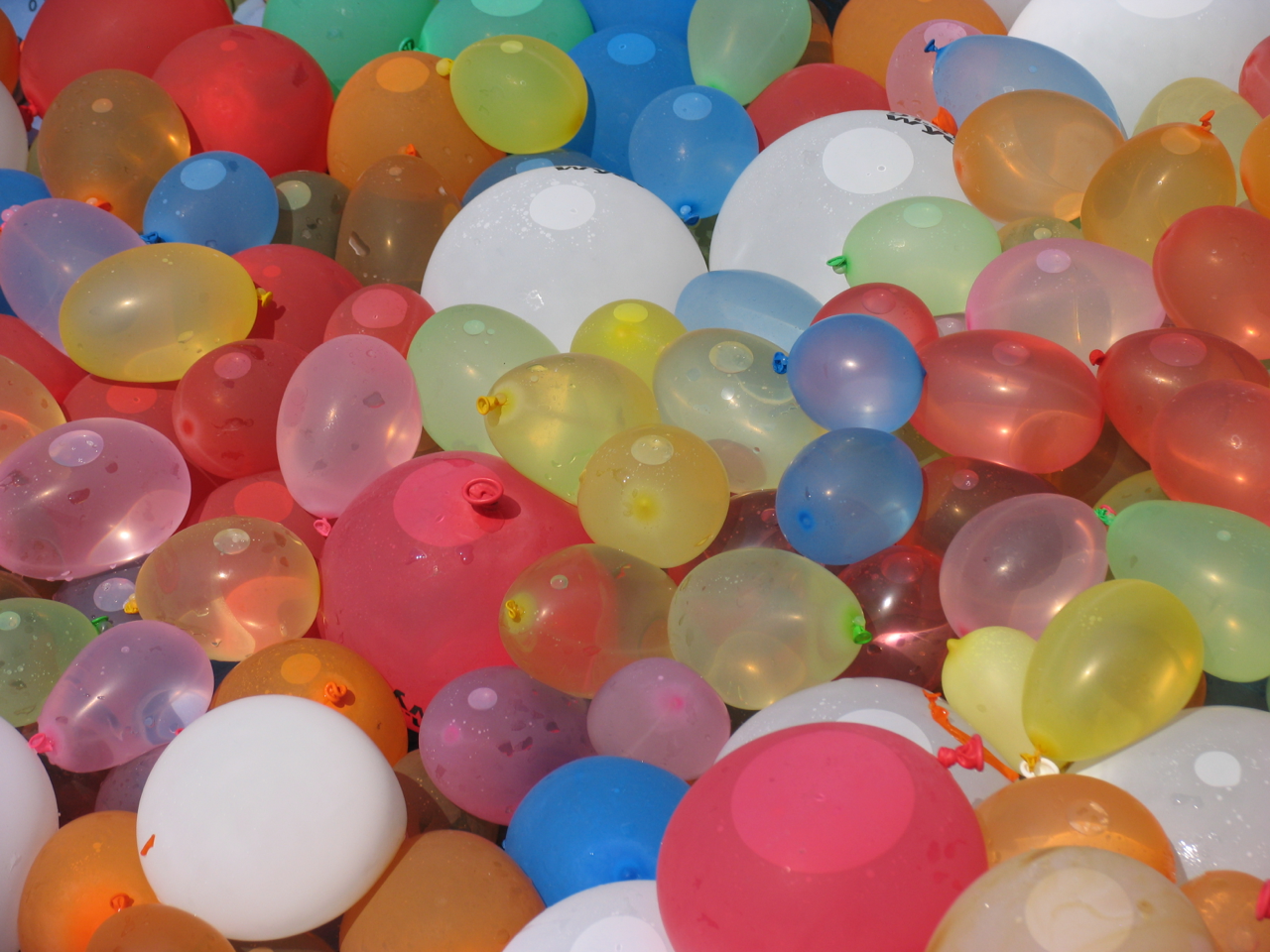 A Red Bird fills Water Balloons!