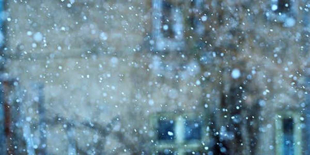 First Snow Shower of the Year Cardinal Weather Service