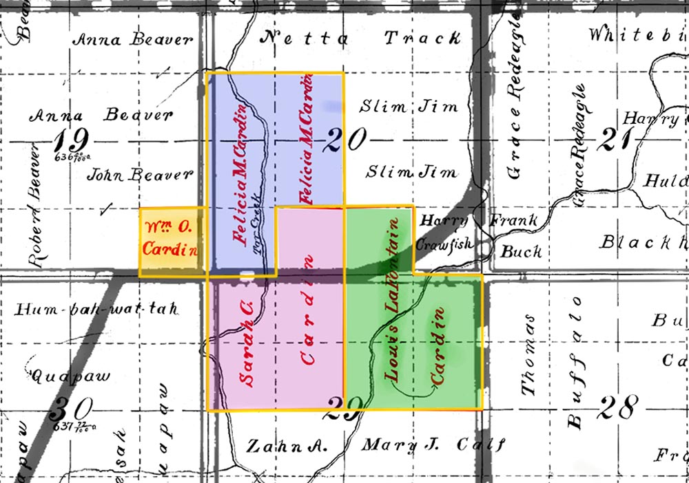 The History of Cardin1