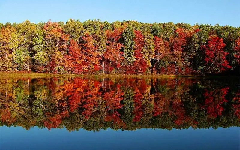 The Best Sports Card Auctions From Auction Houses During October 2023