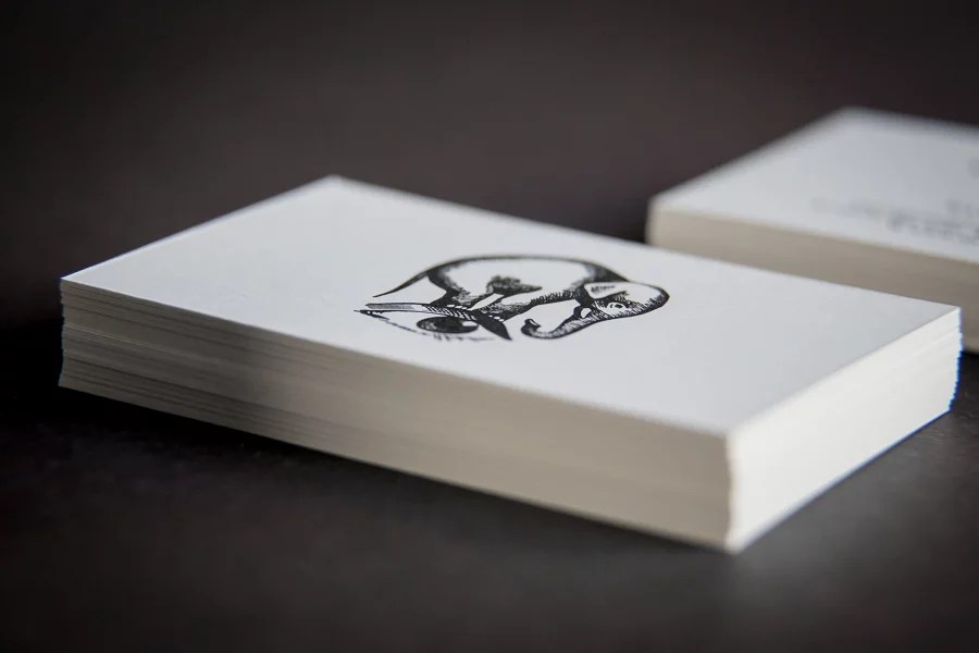 Davia Koetser Card Nerd