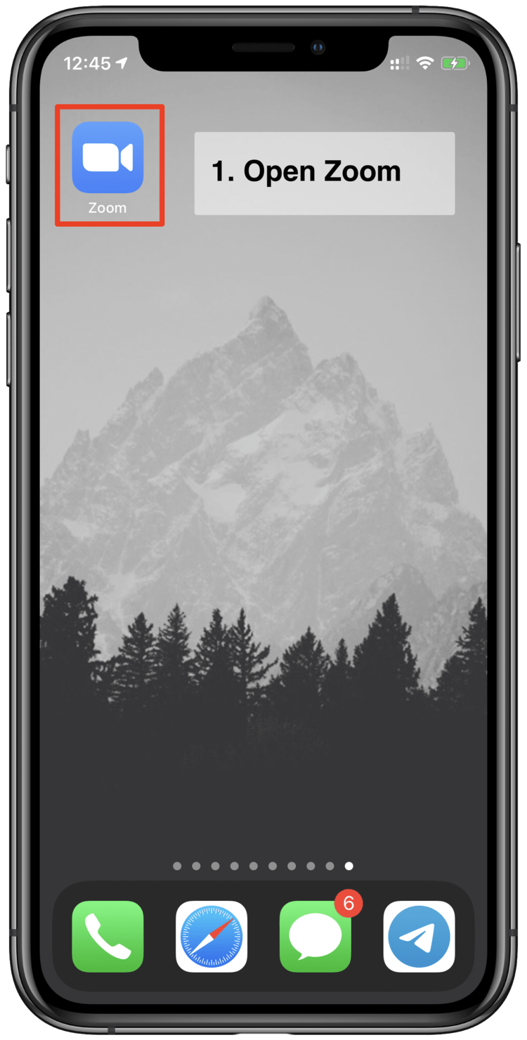 Zoom Mobile Cardon Voice