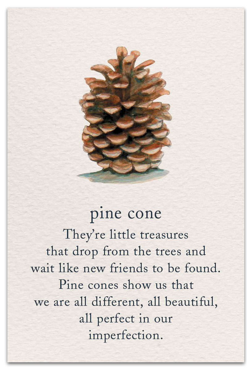 Pine Cone Friendship Card
