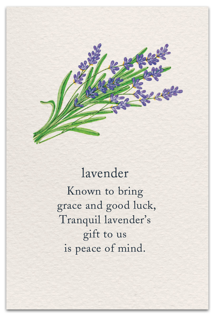 Lavender Support & Encouragement Card