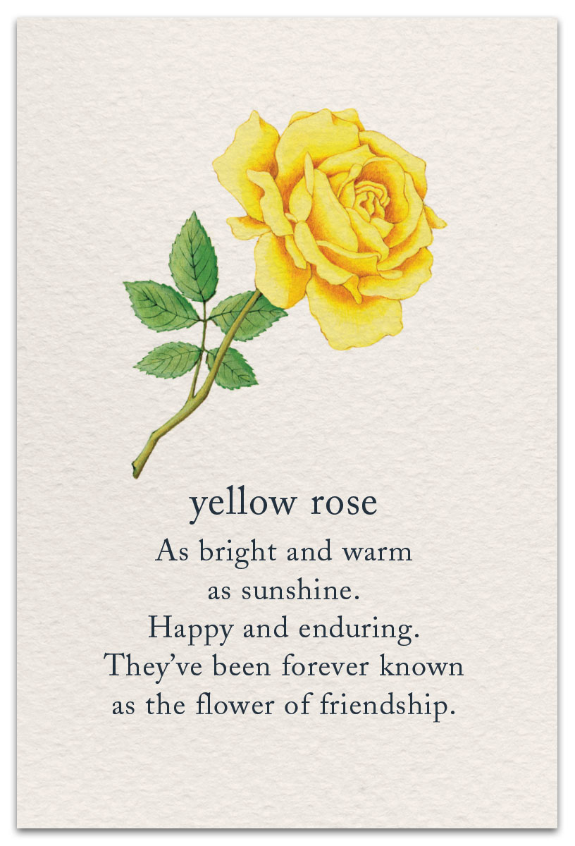 Yellow Rose Birthday Card