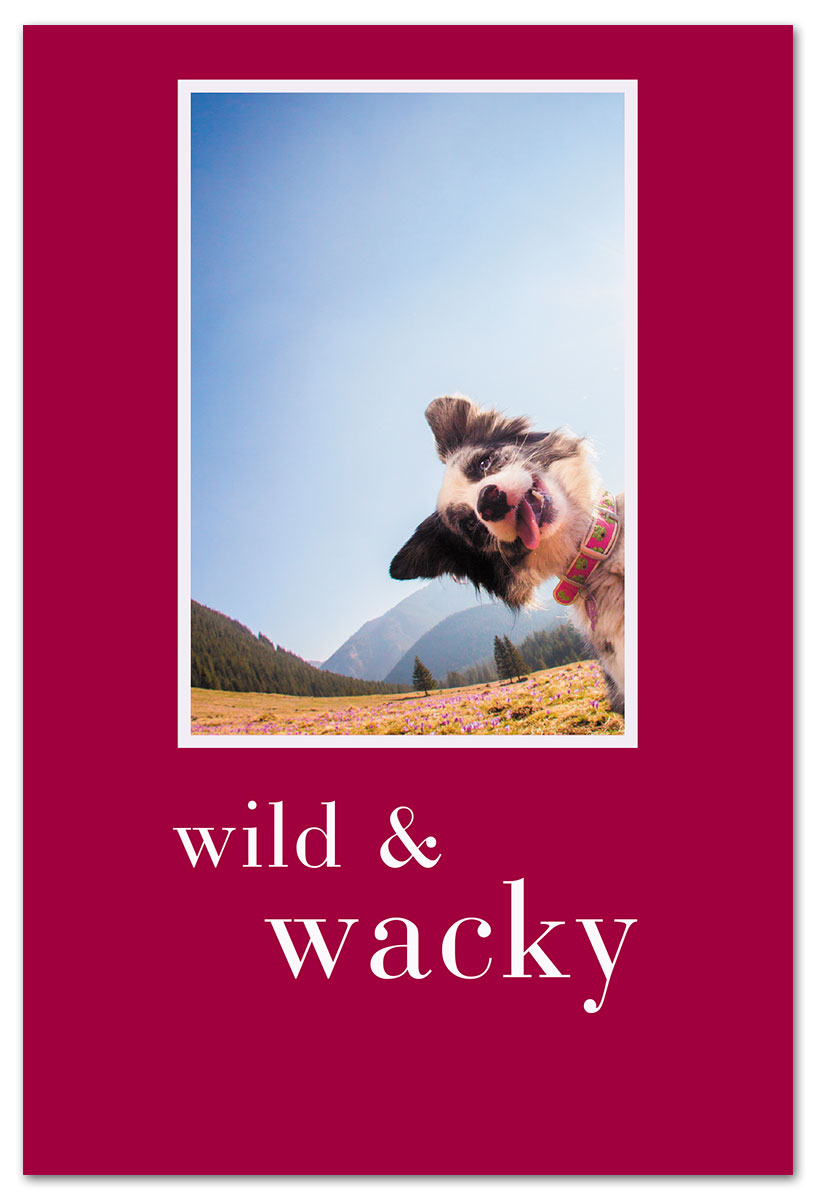 Wild & Wacky Birthday Card