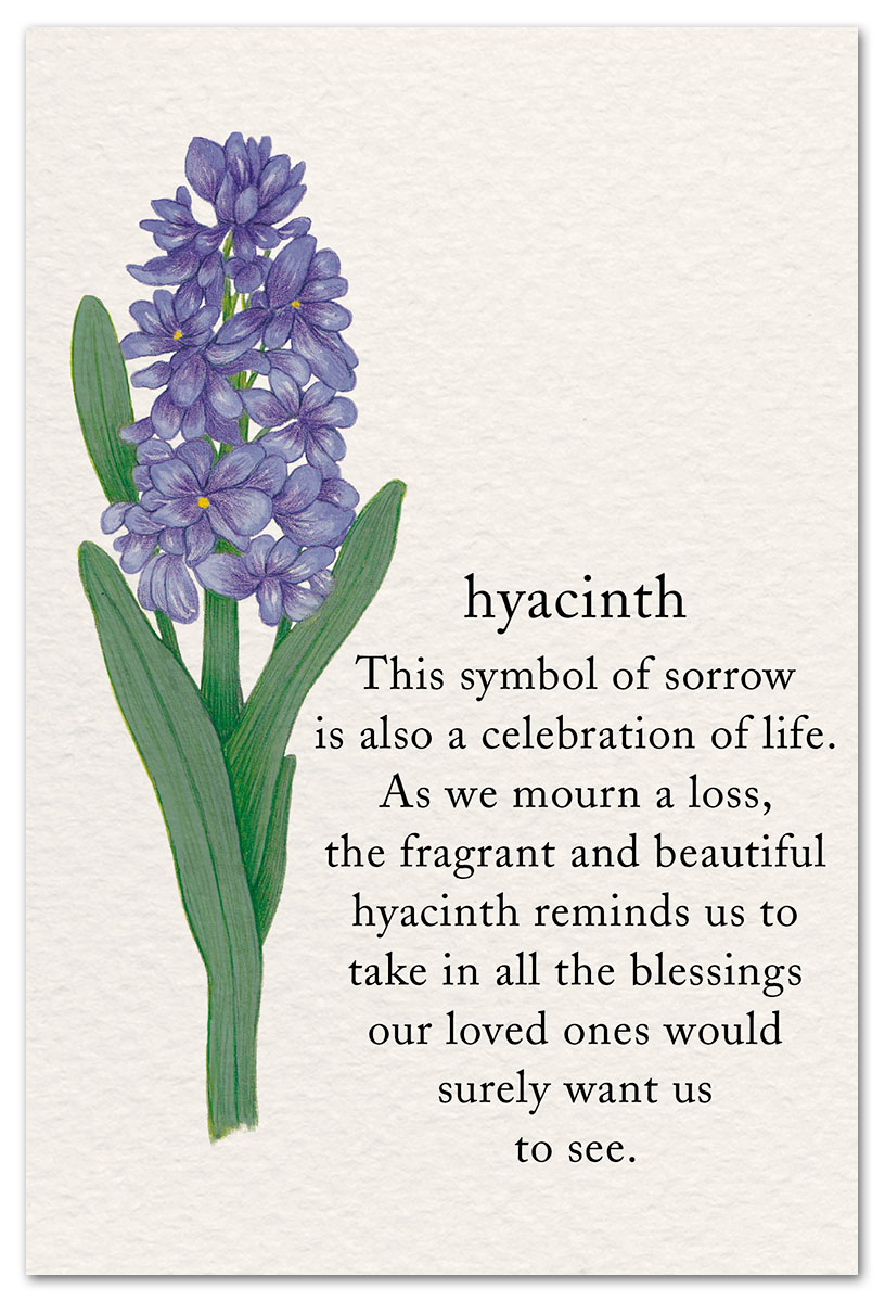 Hyacinth Condolence Card