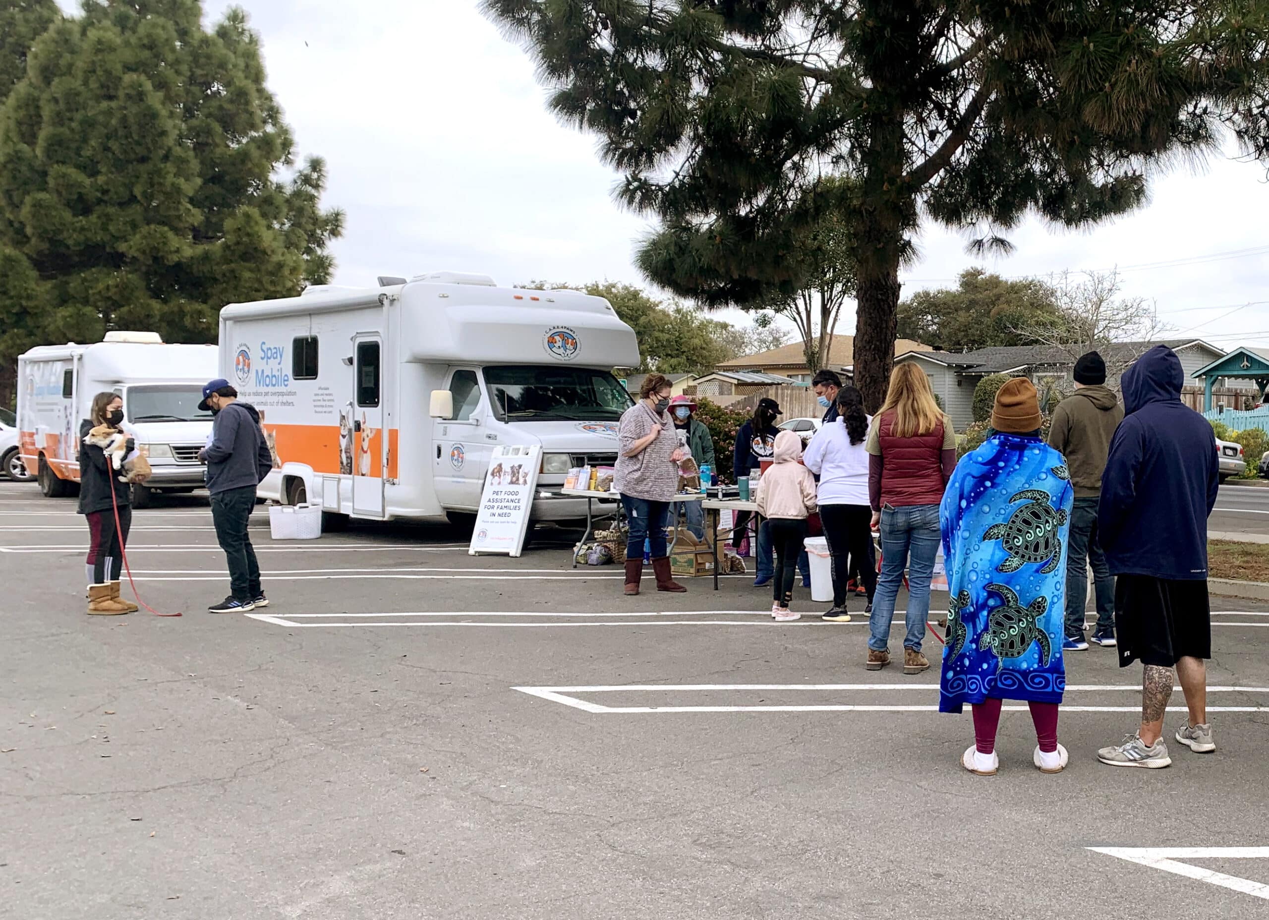 County temporarily closes Lompoc animal facility C.A.R.E.4Paws