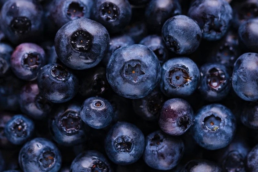 Blueberry and Diabetes Benefits, Recipes, and More Care4Sugar