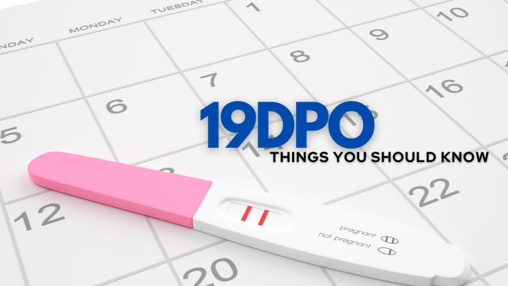 19 DPO Understanding BFP & BFN and Pregnancy.