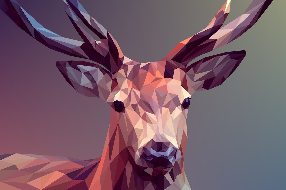 Graphic Design Projects for Beginners and Experts
