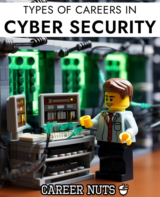 Careers in Cyber Security Career Nuts
