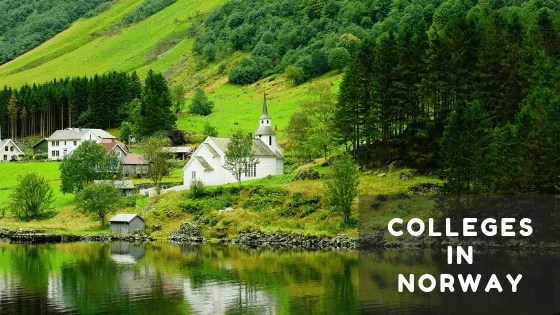 MBA in Norway for International Students in 2019 Career Paths