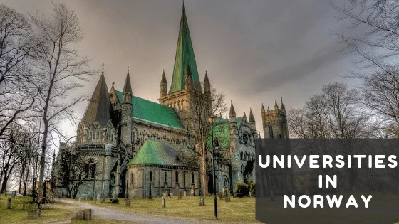MBA in Norway for International Students in 2019 Career Paths