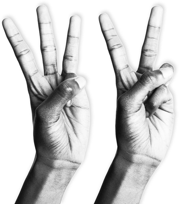 Wireless Vision Careers