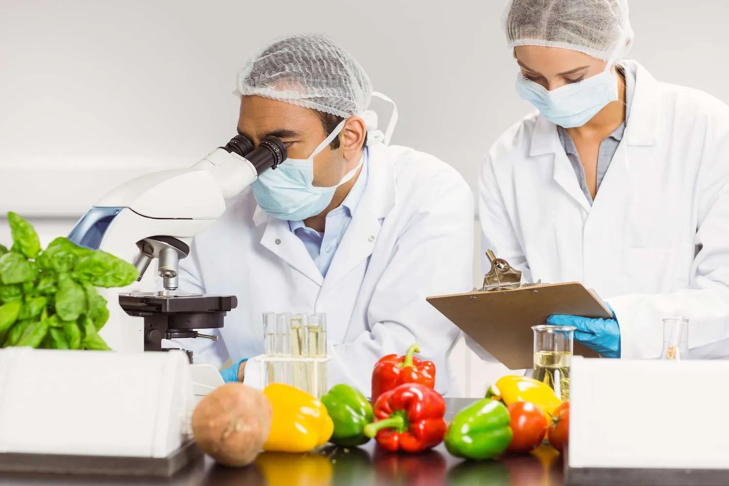 Jobs in food science Careers with STEM