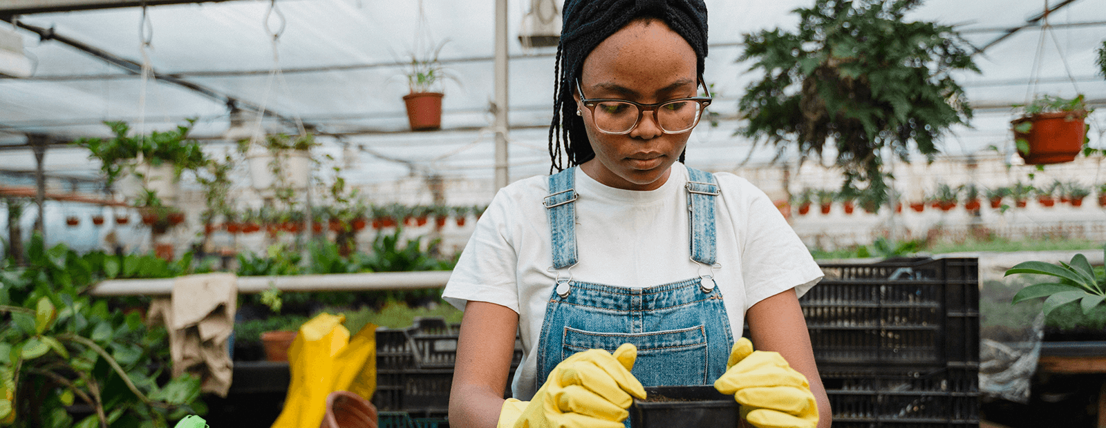 Agriculture, Food & Resources DC CTE Career & Technical Education