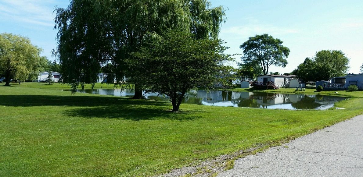 Carefree Estates Home!