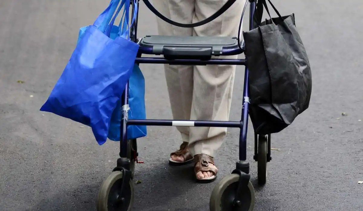 5 Best Walker Bags for Seniors Stylish and Practical Options for Your Mobility Needs
