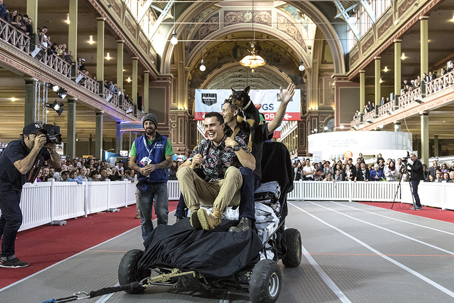 Carey Edwards Things I do. Stuff I make. Words I write.