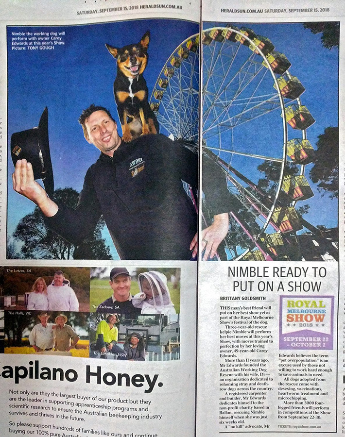 Carey Edwards Things I do. Stuff I make. Words I write.